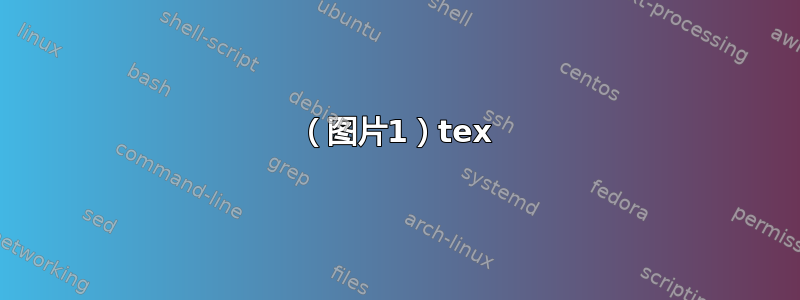 （图片1）tex