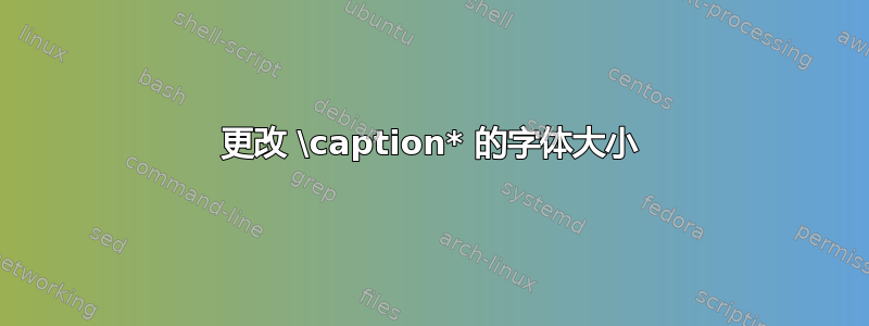 更改 \caption* 的字体大小