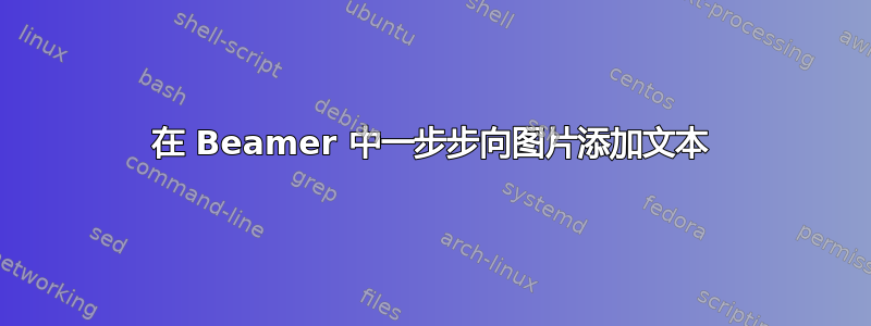 在 Beamer 中一步步向图片添加文本