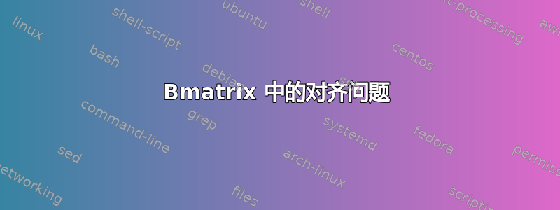 Bmatrix 中的对齐问题