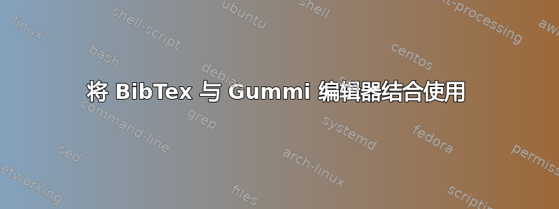 将 BibTex 与 Gummi 编辑器结合使用