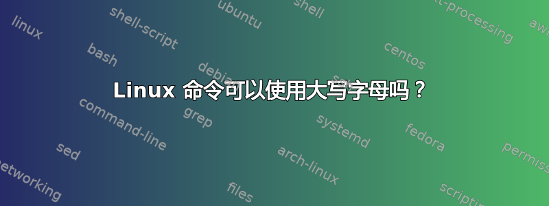 Linux 命令可以使用大写字母吗？