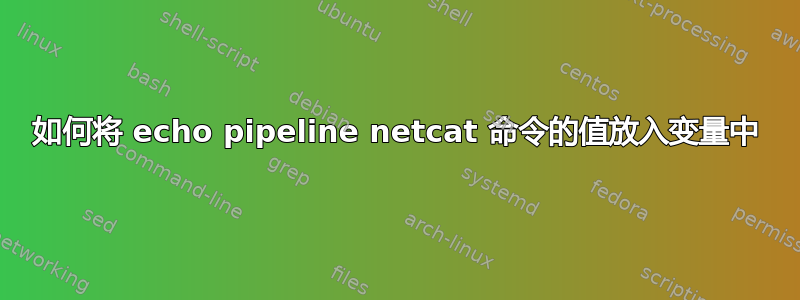 如何将 echo pipeline netcat 命令的值放入变量中