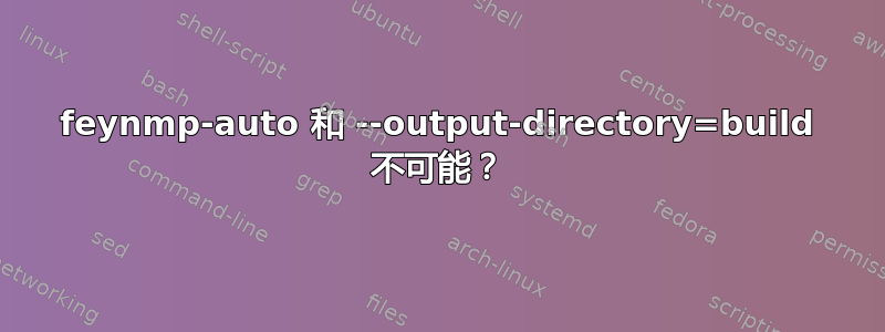 feynmp-auto 和 --output-directory=build 不可能？