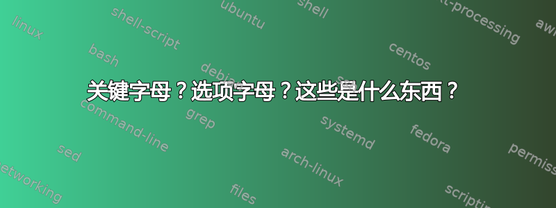 关键字母？选项字母？这些是什么东西？