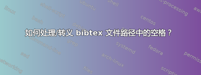 如何处理/转义 bibtex 文件路径中的空格？