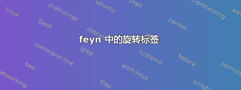 feyn 中的旋转标签