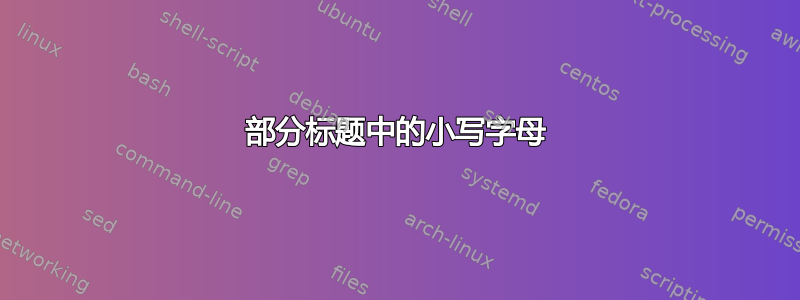 部分标题中的小写字母