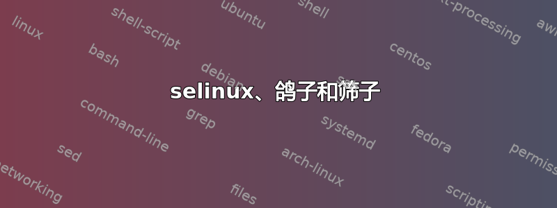 selinux、鸽子和筛子