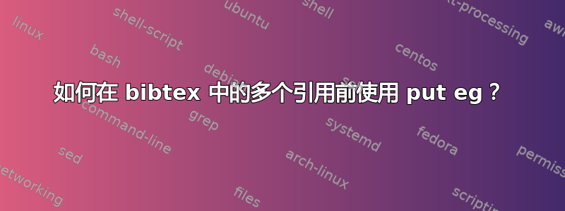 如何在 bibtex 中的多个引用前使用 put eg？