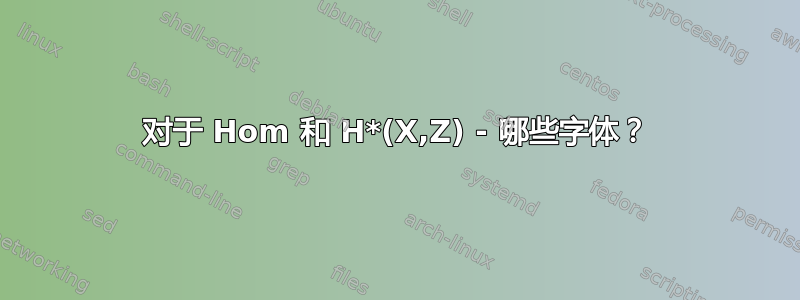 对于 Hom 和 H*(X,Z) - 哪些字体？