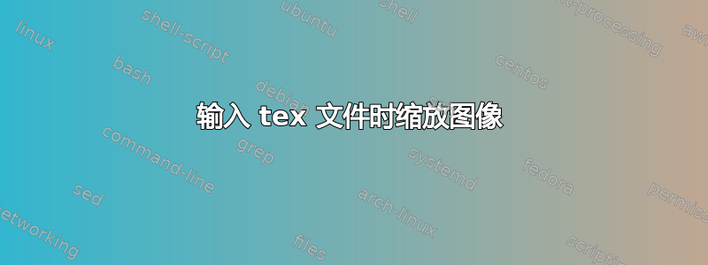 输入 tex 文件时缩放图像