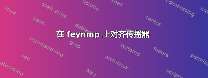 在 feynmp 上对齐传播器