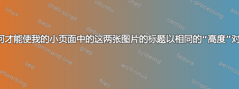 我如何才能使我的小页面中的这两张图片的标题以相同的“高度”对齐？