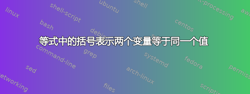 等式中的括号表示两个变量等于同一个值