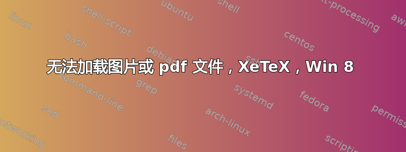 无法加载图片或 pdf 文件，XeTeX，Win 8