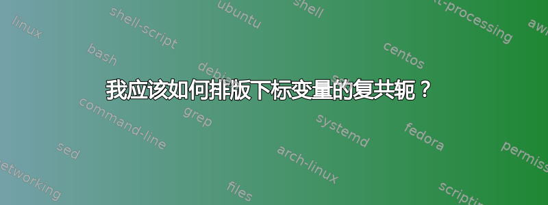 我应该如何排版下标变量的复共轭？