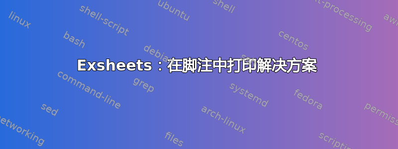 Exsheets：在脚注中打印解决方案