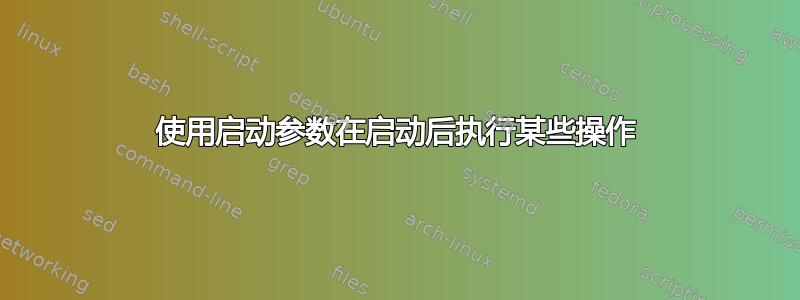 使用启动参数在启动后执行某些操作