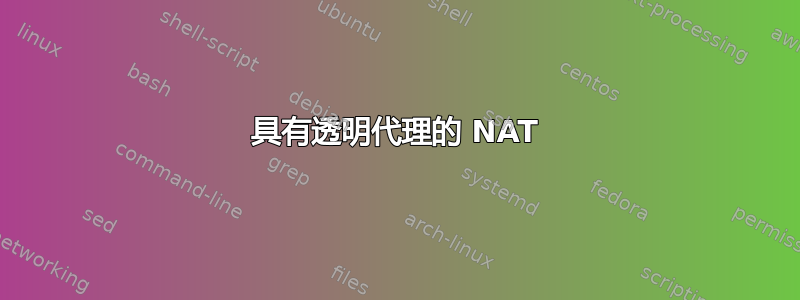 具有透明代理的 NAT