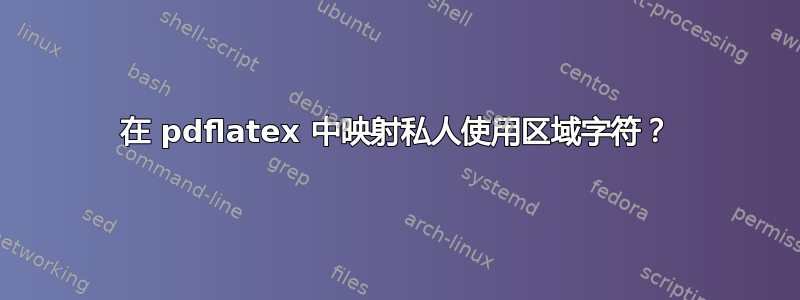 在 pdflatex 中映射私人使用区域字符？