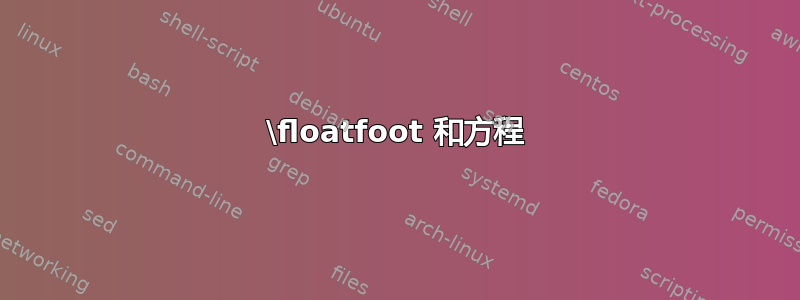 \floatfoot 和方程