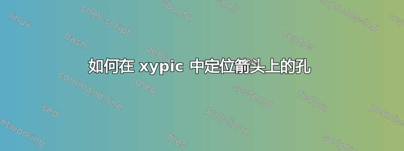 如何在 xypic 中定位箭头上的孔