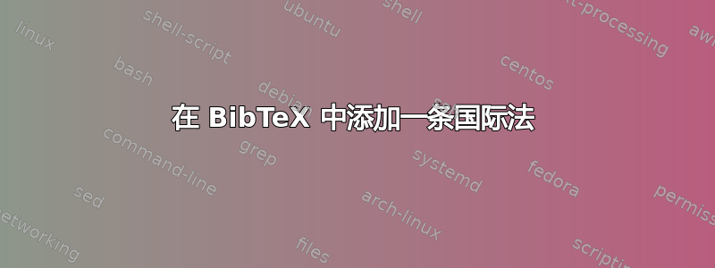 在 BibTeX 中添加一条国际法