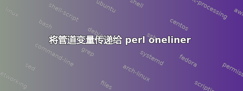 将管道变量传递给 perl oneliner