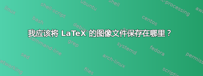 我应该将 LaTeX 的图像文件保存在哪里？