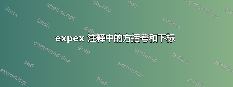 expex 注释中的方括号和下标