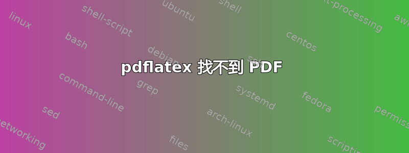 pdflatex 找不到 PDF