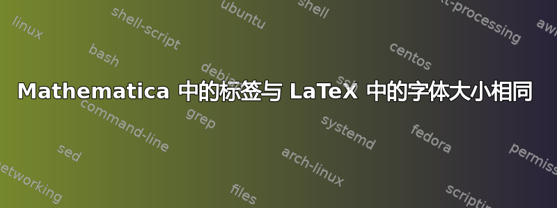 Mathematica 中的标签与 LaTeX 中的字体大小相同