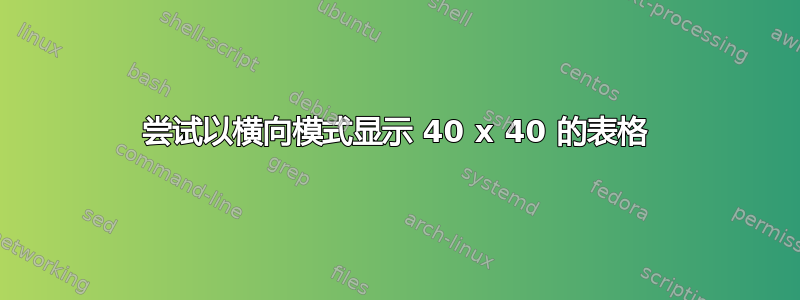 尝试以横向模式显示 40 x 40 的表格