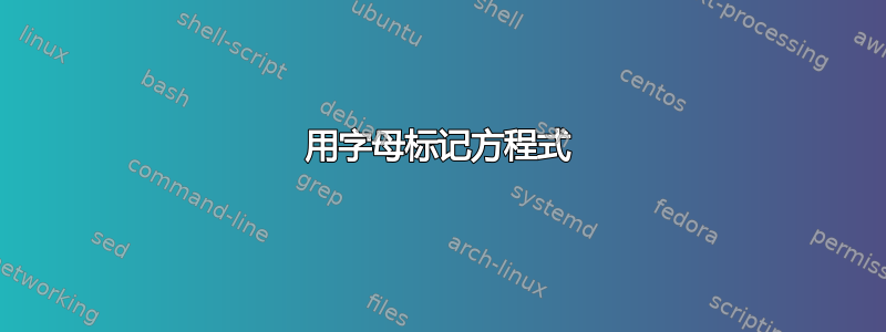 用字母标记方程式