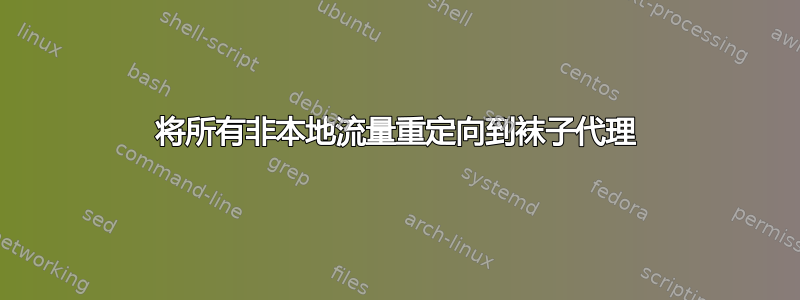 将所有非本地流量重定向到袜子代理