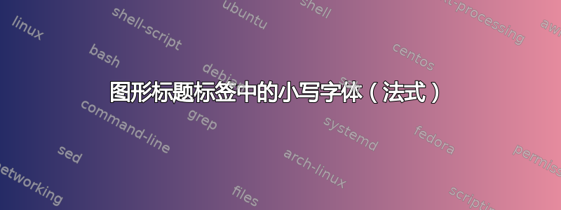 图形标题标签中的小写字体（法式）