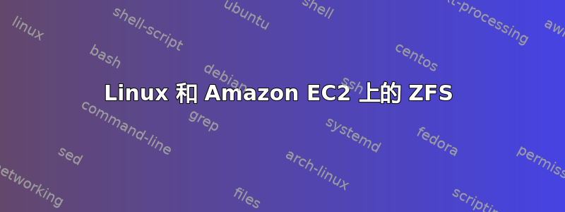 Linux 和 Amazon EC2 上的 ZFS