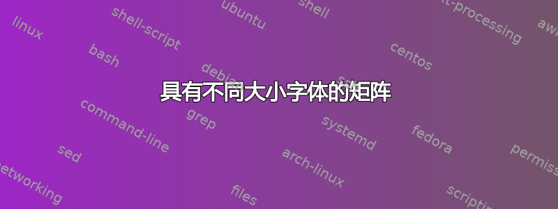 具有不同大小字体的矩阵