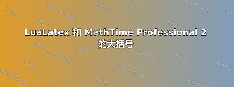 LuaLatex 和 MathTime Professional 2 的大括号