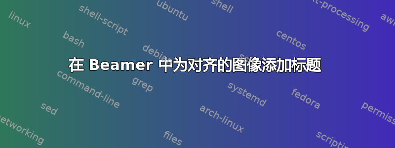 在 Beamer 中为对齐的图像添加标题