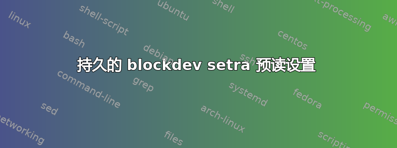 持久的 blockdev setra 预读设置