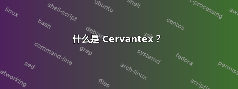 什么是 Cervantex？