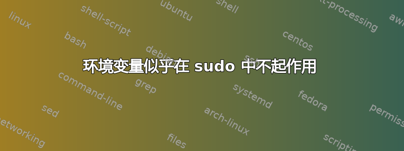 环境变量似乎在 sudo 中不起作用