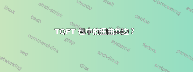 TQFT 包中的扭曲共边？