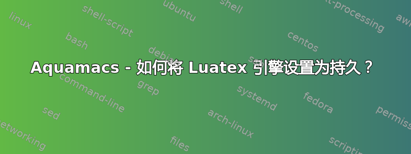 Aquamacs - 如何将 Luatex 引擎设置为持久？