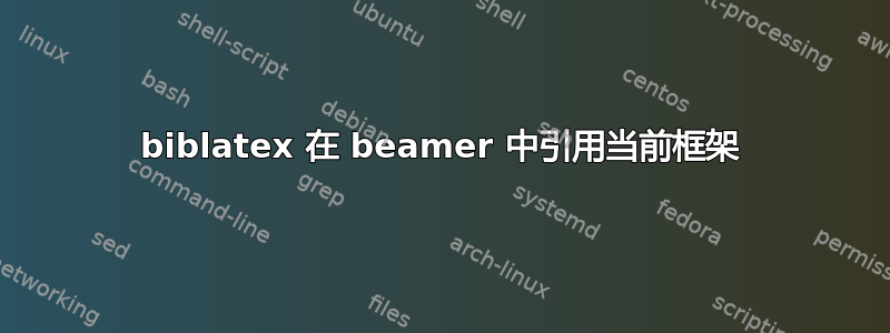 biblatex 在 beamer 中引用当前框架