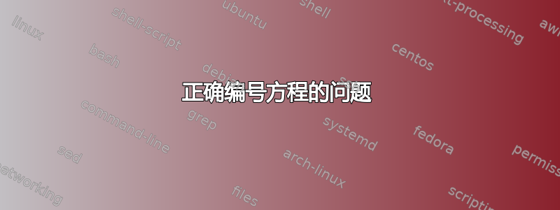 正确编号方程的问题