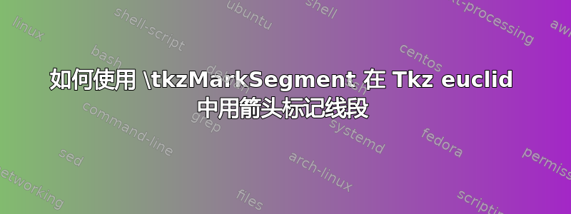 如何使用 \tkzMarkSegment 在 Tkz euclid 中用箭头标记线段