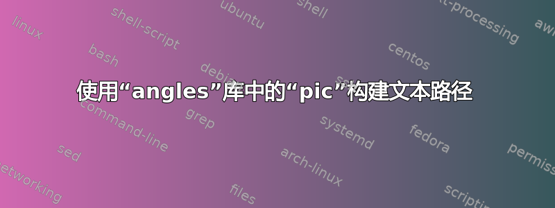 使用“angles”库中的“pic”构建文本路径